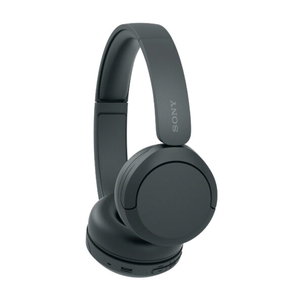 SONY WH-CH520